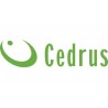 CEDRUS